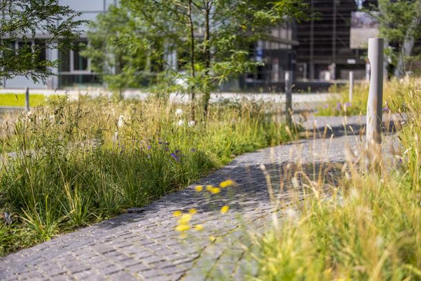 Freiraumplanerische Gestaltung