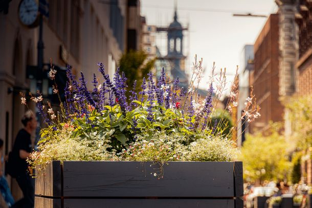 Sommergärten im Passagenviertel