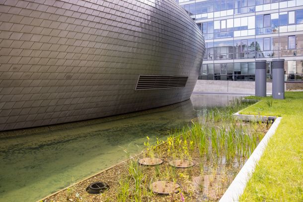 Grünanlage mit Wasserbecken