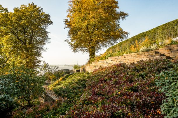 Herbststimmung an der Elbe