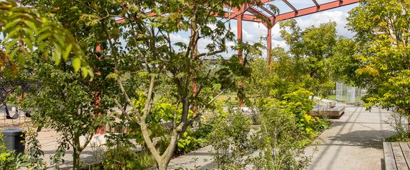 Zum Felde: Park Neue Mitte Altona