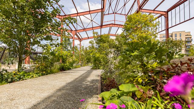 Park Neue Mitte Altona