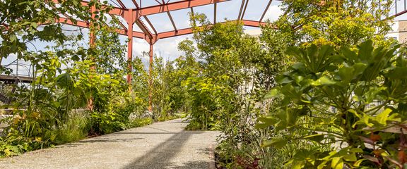 Projekt: Park Neue Mitte Altona - Zum Felde GmbH